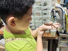 -酷以爬仙阁实体爬宠店·守宫·蜥蜴·专业繁育