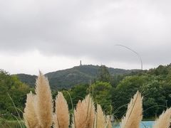 -冶父山国家森林公园