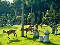 -东南花都花博园