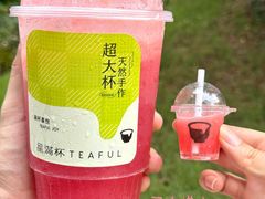 -星满杯TEAFUL(罗湖东门店)