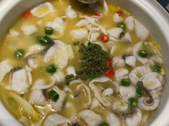 -青花椒花椒鱼(合生汇店)