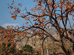 -里口山风景名胜区
