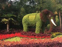 -石家庄市动物园