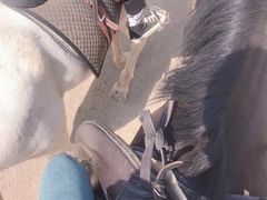 -杭州湾海上花田景区