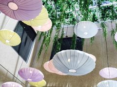 -同乐轩港式早茶
