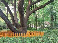 -徐家汇源景区-衡山公园