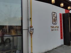 -几荷·恰似故人来(秀水广场店)