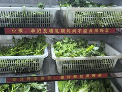 -黔府豆米火锅野菜馆(南马店)