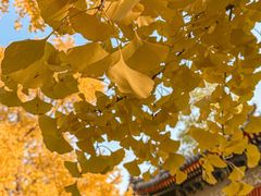 -承恩寺