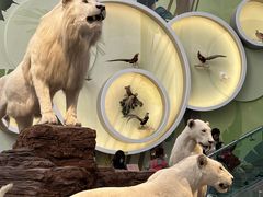 -陕西自然博物馆