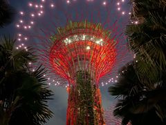 -亚坤(远东广场店)