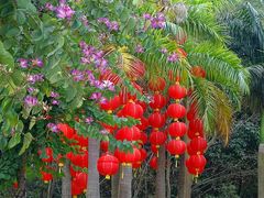 -漕湖湿地公园