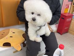 -全心全意连锁动物医院·微创中心·内科急重症·心脏专科(丰管路店)