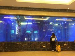 iphone_upload_pic-碧桂园凤凰城酒店(南京店)