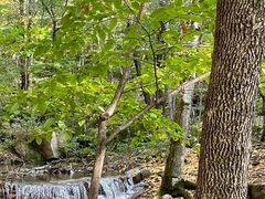 -五女峰国家森林公园