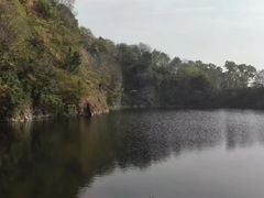-王借岗森林公园