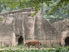 -秦皇岛野生动物园