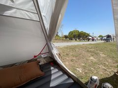 -春花秋色城市公园