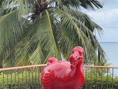-日落吧·海景咖啡厅·餐酒吧·鸡尾酒·下午茶·乐队表演·浪漫夕阳·三亚文华东方酒店
