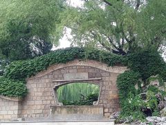-团结湖公园