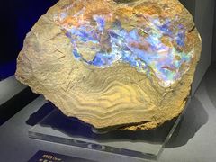 -湖南省地质博物馆