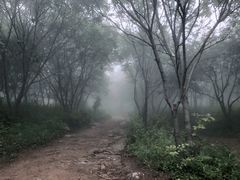 -妙峰山风景名胜区