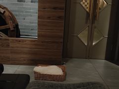 -Dragonfly 悠庭·按摩Spa(苏州中心广场店)