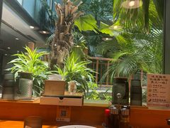 -日出拉面(望京店)