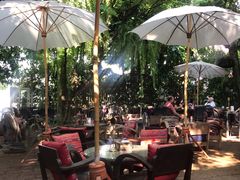-Fern Forest Cafe