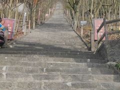 -九皇山景区