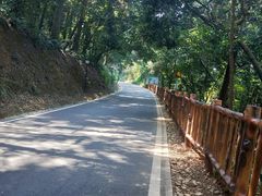 -三门江国家森林公园