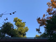 -思南公馆
