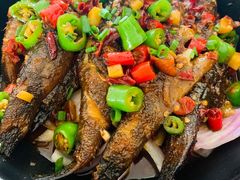 -龙小海荆沙鸽子店(瑞安街店)