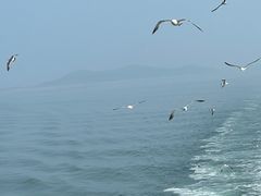 -长岛南北长山旅游景区