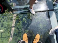 -梦幻奥陶纪景区