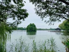 -尚湖风景区