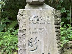 -都江堰中华大熊猫苑