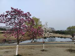 -钟山体育运动公园