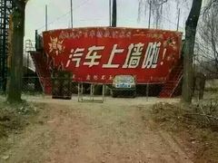 -洛阳郁金香牡丹园