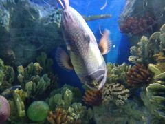 -福州罗源湾海洋世界旅游区