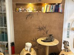 -楼上猫咖(罗湖店)