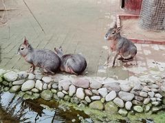 -呀路古热带植物园