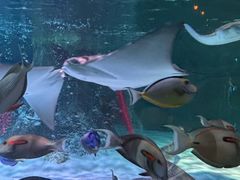 -沈阳海洋探索中心