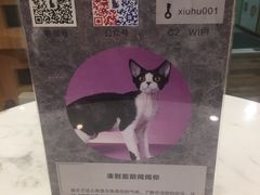 -袖虎·猫馆(体育西路店)