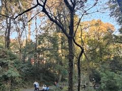 -岳麓山风景名胜区