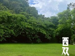 -野象谷景区
