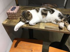-小时光咖啡馆(开森度假森林店)