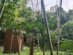 -苏州河梦清园环保主题公园