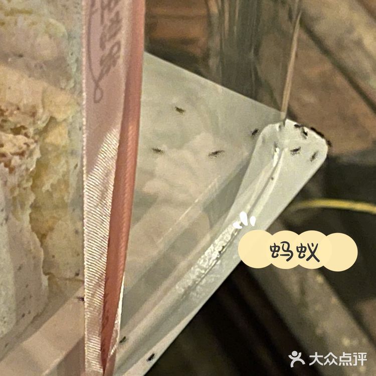 胡桃里真是只能图氛围感了