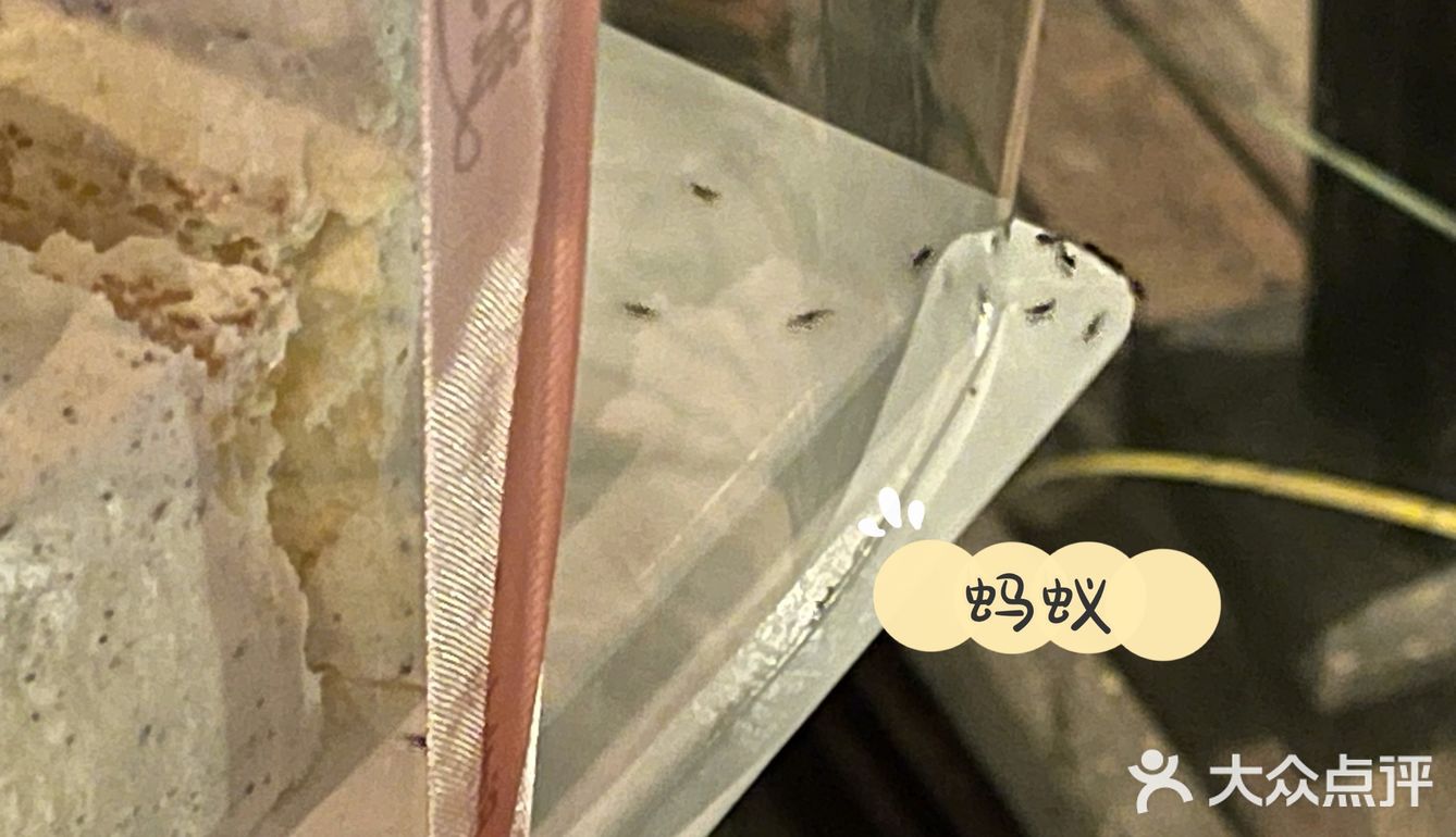 胡桃里真是只能图氛围感了